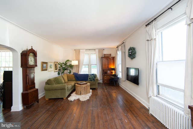 116 Oakley St, Cambridge, MD 21613 - living room featuring radiator, arched walkways, hardwood / wood-style floors, healthy amount of natural light, and ornamental molding