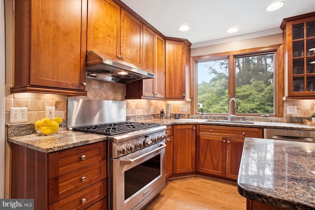 kitchen featuring under cabinet range hood, appliances with stainless steel finishes, crown molding, a sink, and dark stone counters