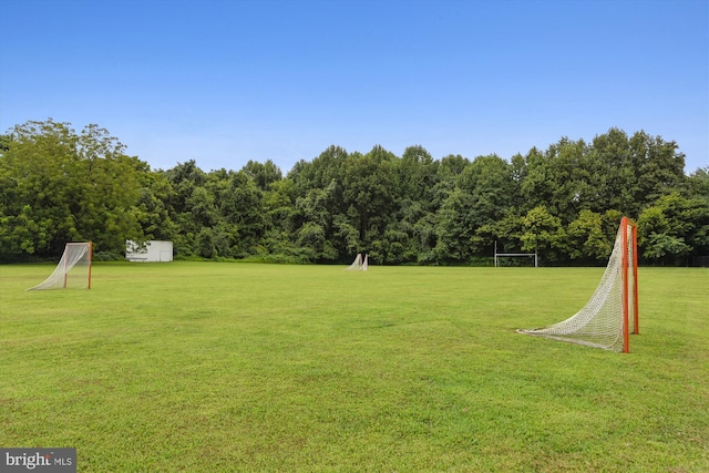view of yard with an area for soccer