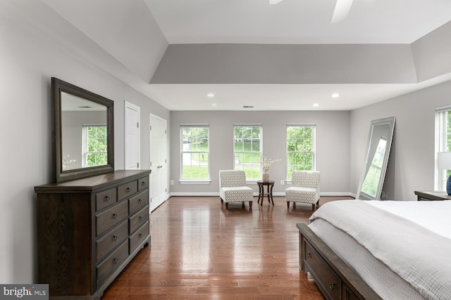 10609 Little Run Farm Ct, Vienna, VA 22182 - bedroom featuring multiple windows, dark wood finished floors, recessed lighting, and baseboards