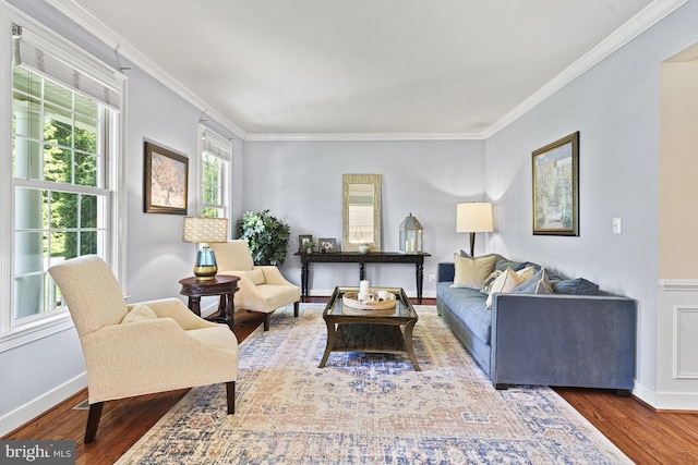 living room featuring crown molding, wood finished floors, and baseboards
