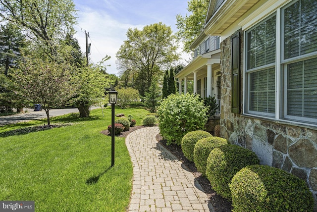 view of grassy yard