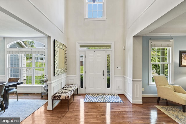 foyer featuring plenty of natural light, wood finished floors, wainscoting, crown molding, and a towering ceiling