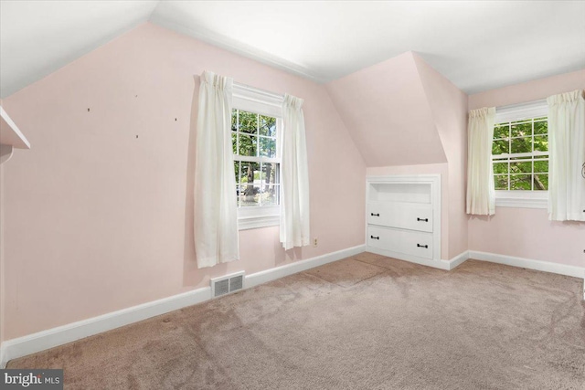 additional living space featuring lofted ceiling, baseboards, and carpet