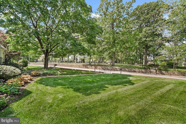 view of yard