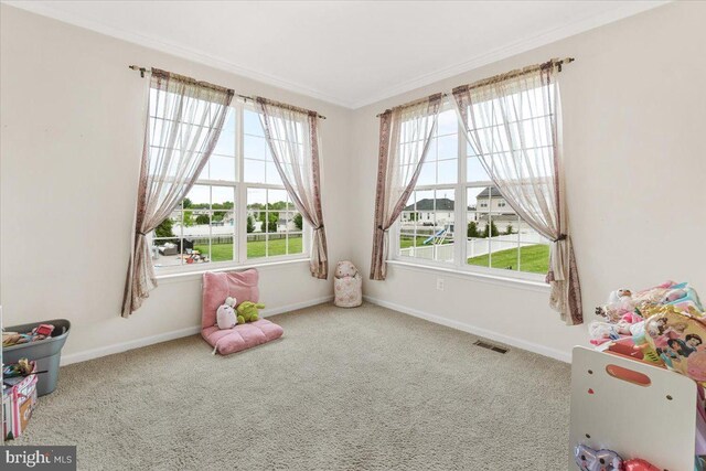 13324 John Martin Dr, Williamsport, MD 21795 - recreation room with crown molding, carpet floors, baseboards, and visible vents
