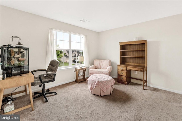 13324 John Martin Dr, Williamsport, MD 21795 - office area featuring carpet, visible vents, and baseboards