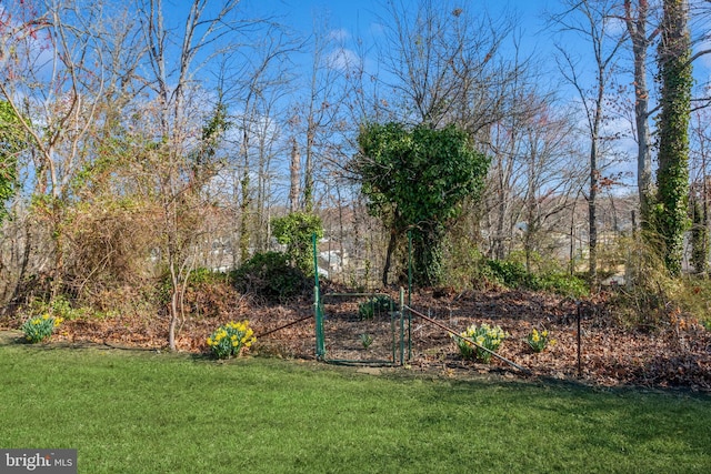 22 N Browning Ave, Somerdale, NJ 08083 - view of green lawn
