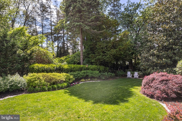 view of green lawn