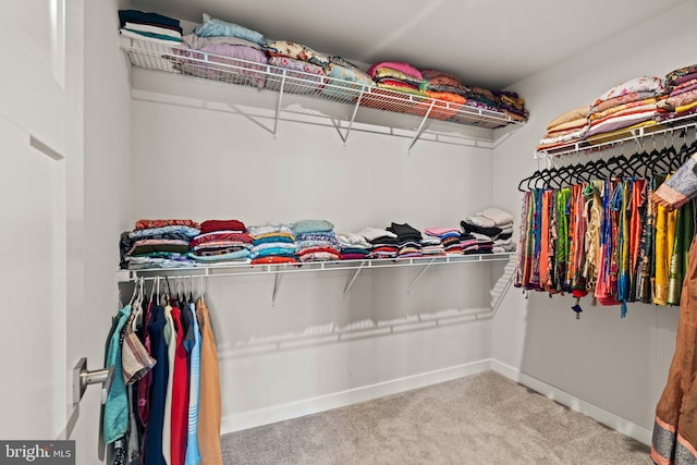 spacious closet with carpet