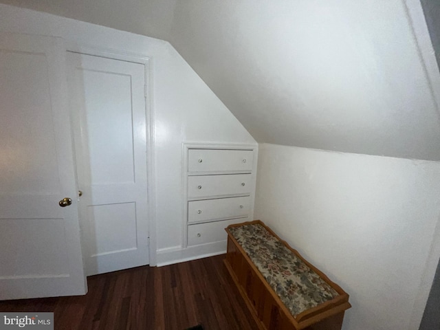 additional living space featuring dark wood-style floors and vaulted ceiling