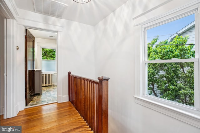 4311 Ellicott St NW, Washington, DC 20016 - hall featuring radiator, hardwood / wood-style flooring, and plenty of natural light