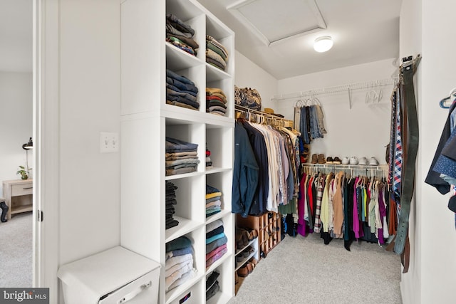 walk in closet with carpet flooring and attic access