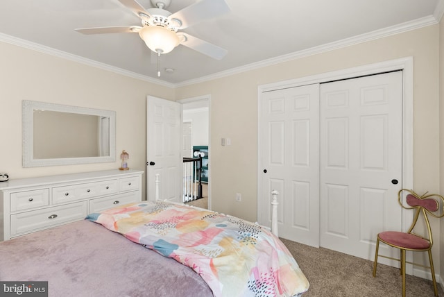 bedroom featuring a ceiling fan, ornamental molding, a closet, and carpet