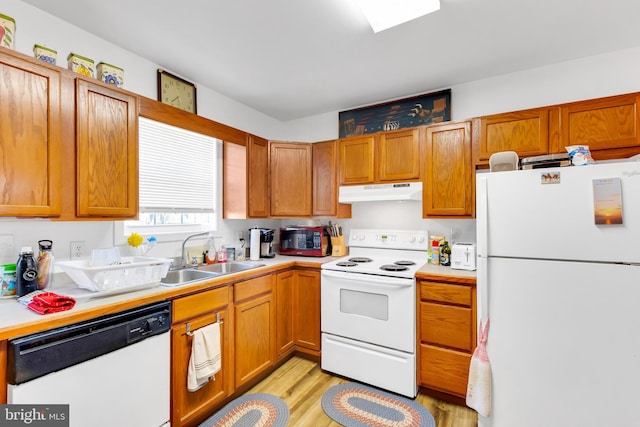 kitchen with white appliances, under cabinet range hood, a sink, light wood finished floors, and light countertops