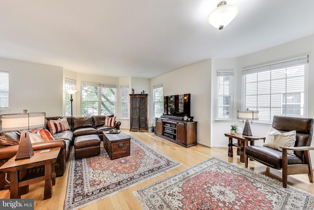 living room featuring baseboards and light wood-style floors