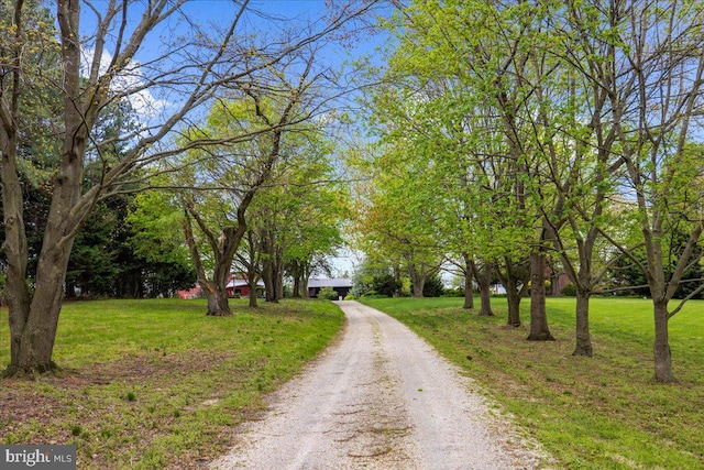 view of dirt / gravel driveway