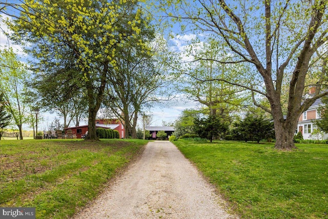 view of dirt / gravel road
