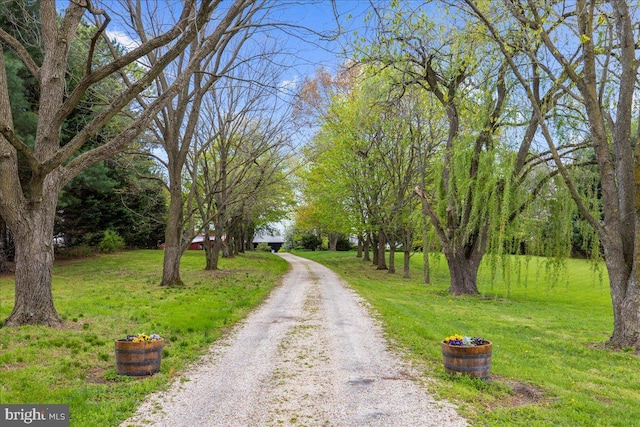 view of dirt / gravel road