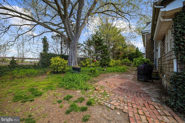 view of yard featuring a patio