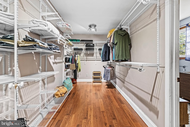 walk in closet featuring wood finished floors