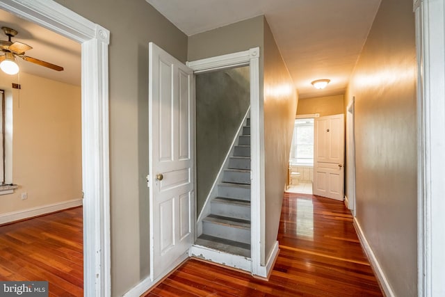 1050 Moravia St, Fountain Hill, PA 18015 - stairs featuring ceiling fan, baseboards, and hardwood / wood-style floors