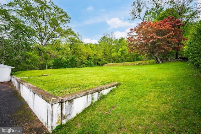 1050 Moravia St, Fountain Hill, PA 18015 - view of yard