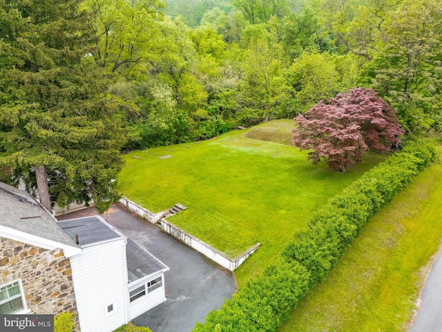 1050 Moravia St, Fountain Hill, PA 18015 - aerial view with a wooded view