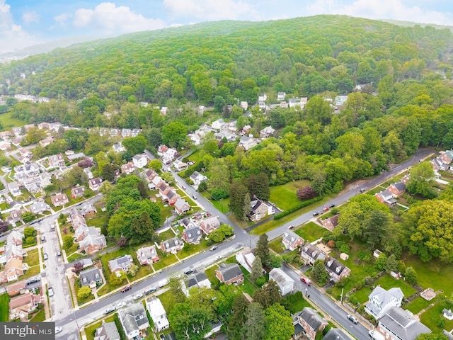 1050 Moravia St, Fountain Hill, PA 18015 - bird's eye view with a residential view and a view of trees