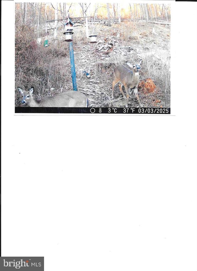 miscellaneous document