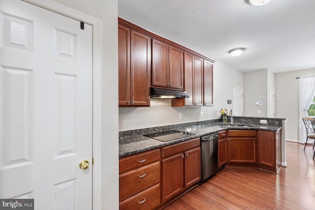 4111 Bayside Rd, Chesapeake Beach, MD 20732 - kitchen with dishwasher, a sink, black electric cooktop, under cabinet range hood, and wood finished floors