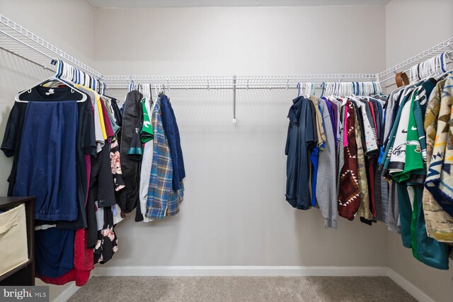 4111 Bayside Rd, Chesapeake Beach, MD 20732 - walk in closet with carpet
