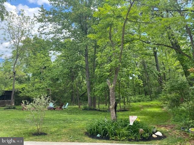 view of grassy yard featuring a wooded view