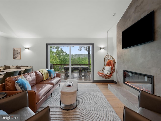 209 Hogan Dr, Basye, VA 22810 - living room featuring a fireplace, light wood-style floors, and baseboards