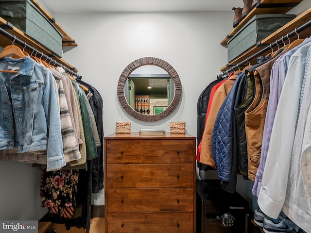 209 Hogan Dr, Basye, VA 22810 - view of walk in closet