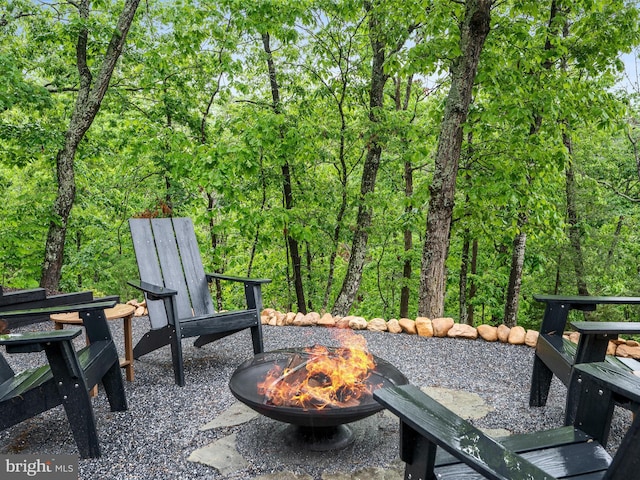 209 Hogan Dr, Basye, VA 22810 - surrounding community with a fire pit