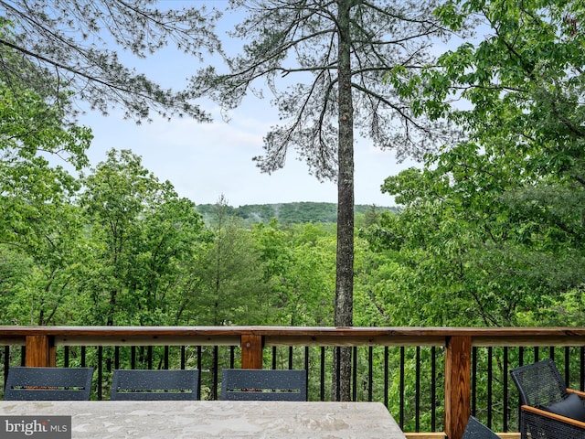 209 Hogan Dr, Basye, VA 22810 - view of deck