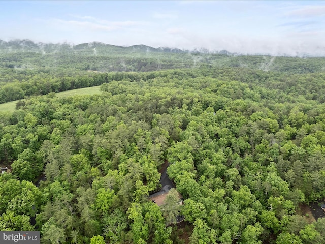 209 Hogan Dr, Basye, VA 22810 - drone / aerial view of a forest