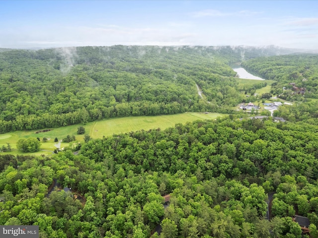 209 Hogan Dr, Basye, VA 22810 - drone / aerial view of a heavily wooded area