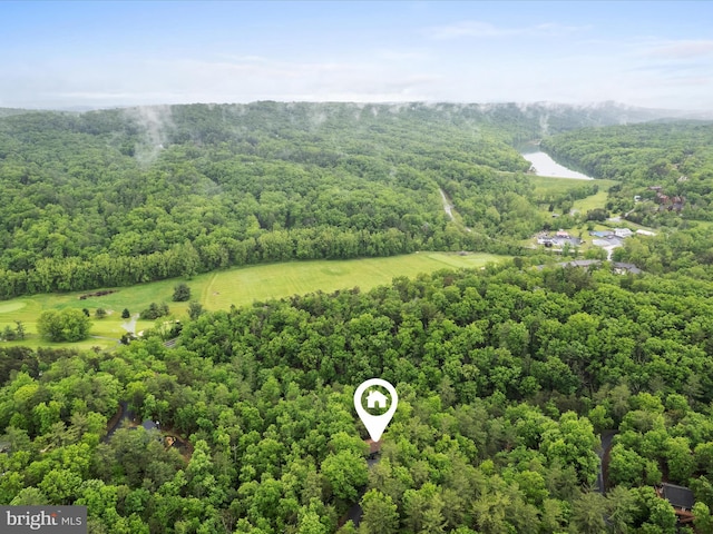 209 Hogan Dr, Basye, VA 22810 - drone / aerial view of a forest