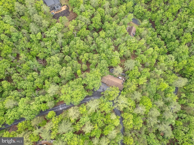 209 Hogan Dr, Basye, VA 22810 - aerial view