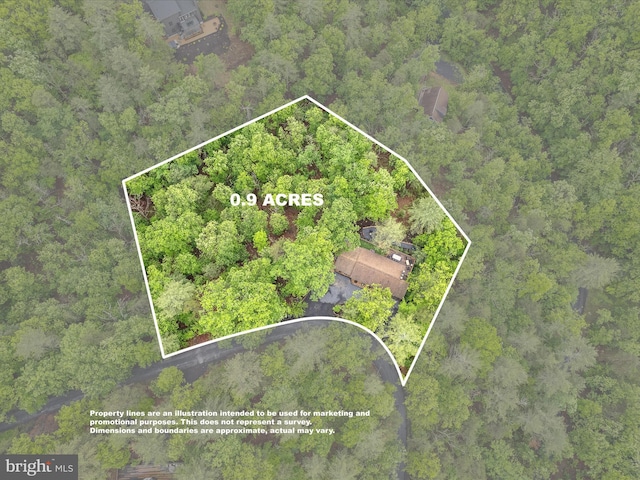 209 Hogan Dr, Basye, VA 22810 - aerial overview of property's location featuring property boundaries highlighted and a forest