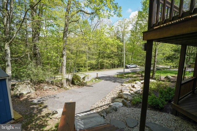 2119 Rock Lodge Rd, Mc Henry, MD 21541 - view of yard featuring a forest view