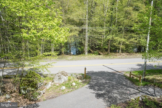 2119 Rock Lodge Rd, Mc Henry, MD 21541 - view of asphalt road