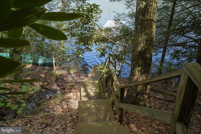 2119 Rock Lodge Rd, Mc Henry, MD 21541 - view of yard