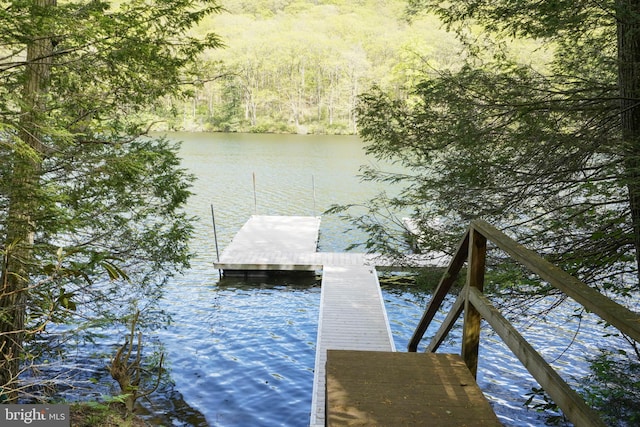 2119 Rock Lodge Rd, Mc Henry, MD 21541 - dock area with a water view and a forest view