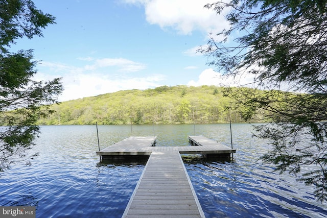 2119 Rock Lodge Rd, Mc Henry, MD 21541 - dock with a water view and a wooded view