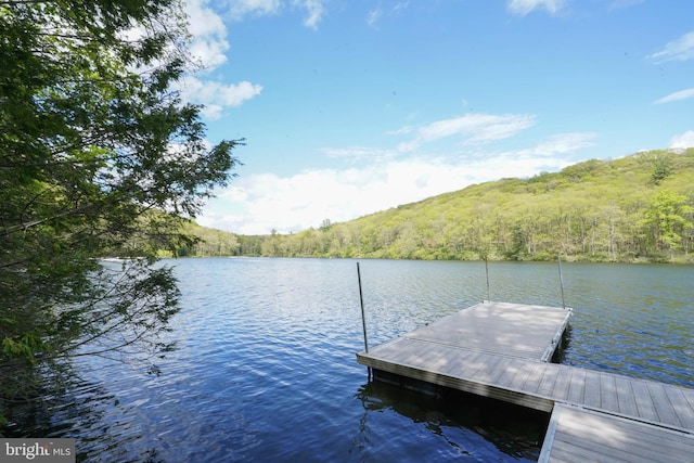 2119 Rock Lodge Rd, Mc Henry, MD 21541 - dock featuring a view of trees and a water view