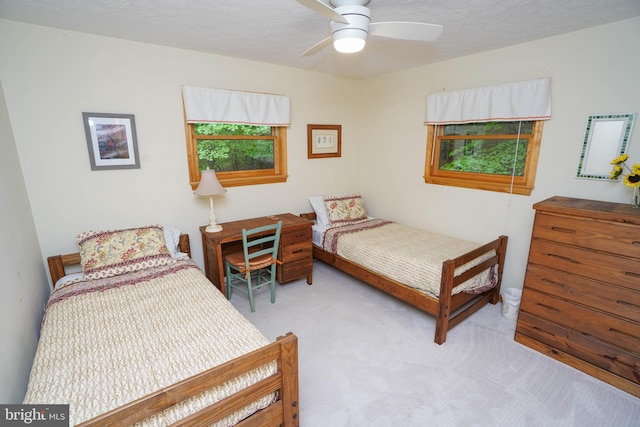 2119 Rock Lodge Rd, Mc Henry, MD 21541 - carpeted bedroom with ceiling fan