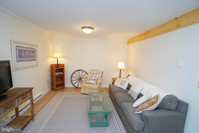 2119 Rock Lodge Rd, Mc Henry, MD 21541 - living area with ornamental molding, wood finished floors, and baseboards